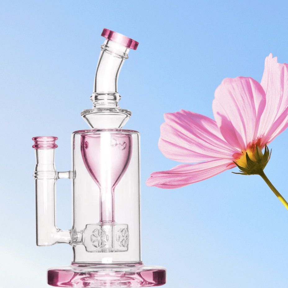 Medusa Glass Torus 8" 5mm Rig-Airdrie Vape SuperStore & Bong Shop AB, Canada - Airdrie Vape SuperStore & Bong Shop Medusa Glass Torus 8" 5mm Rig-Airdrie Vape SuperStore & Bong Shop AB, Canada - Airdrie Vape SuperStore & Bong Shop